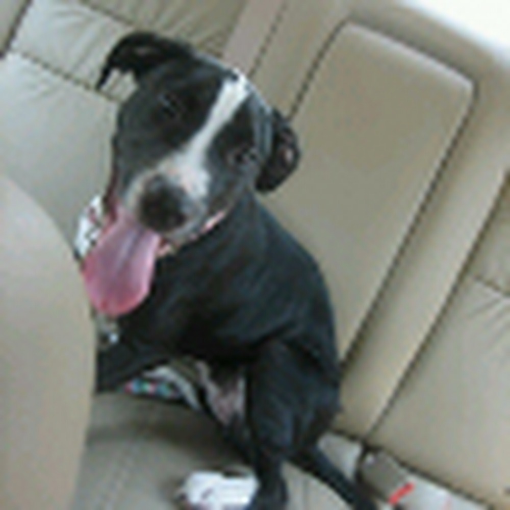 Meet your Posher, Jesslyn